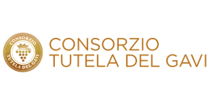 Consorzio Gavi